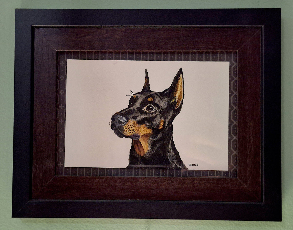 Original Framed Paintings