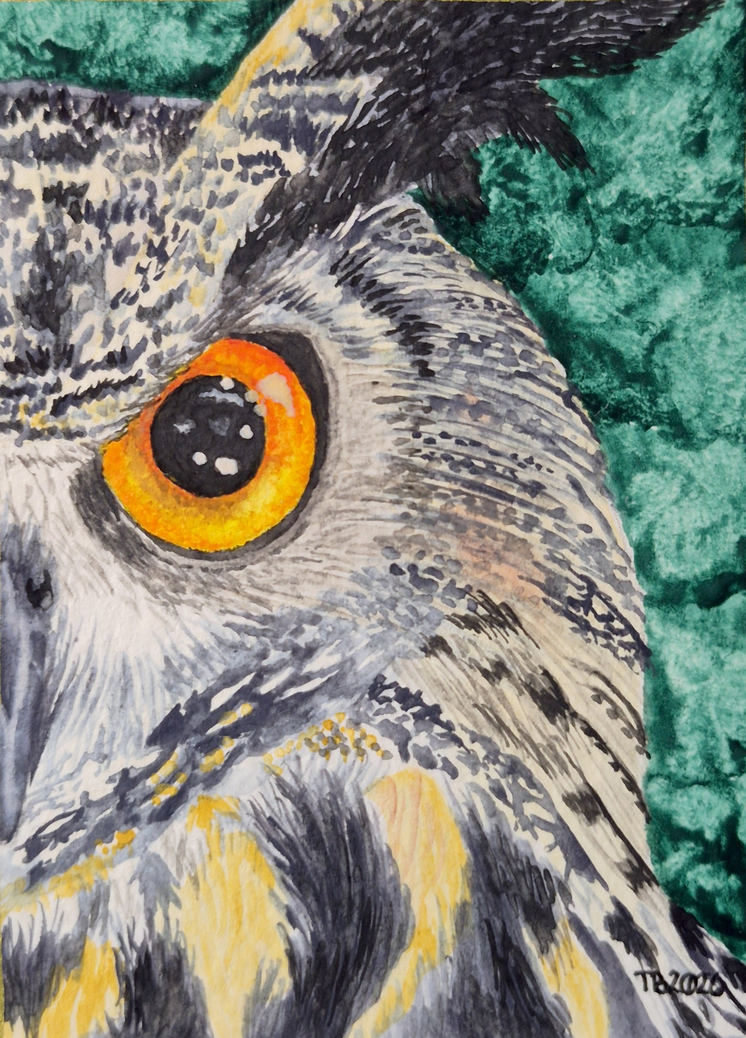 ACEO Eagle Owl Print
