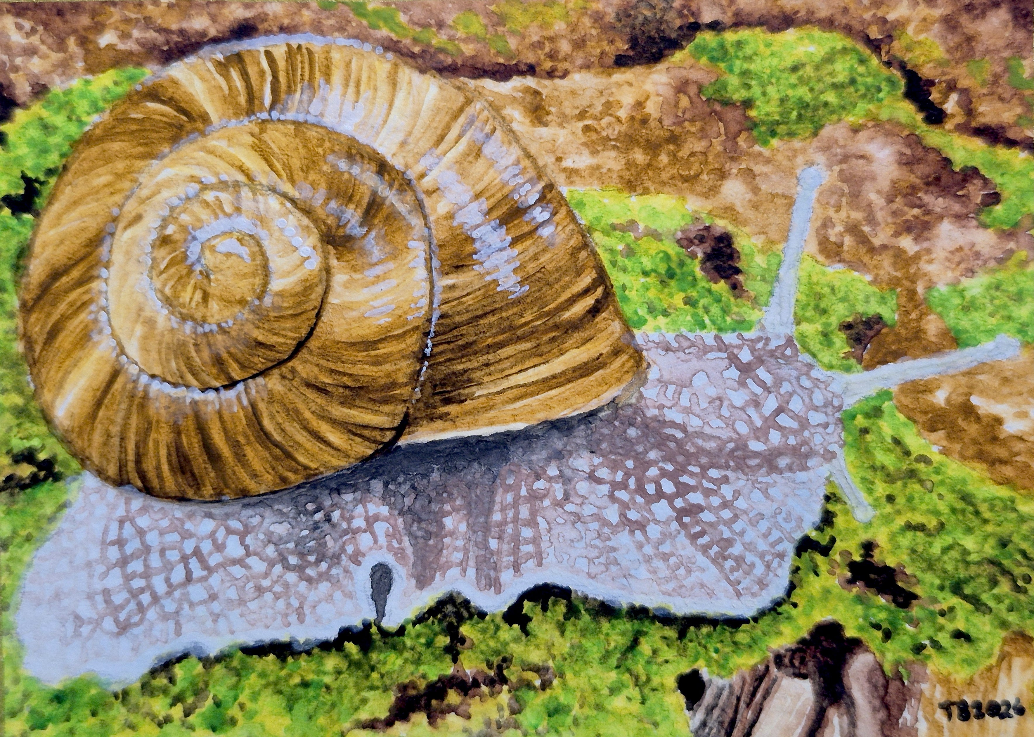 ACEO Snail Print