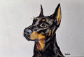 Doberman Painting Print