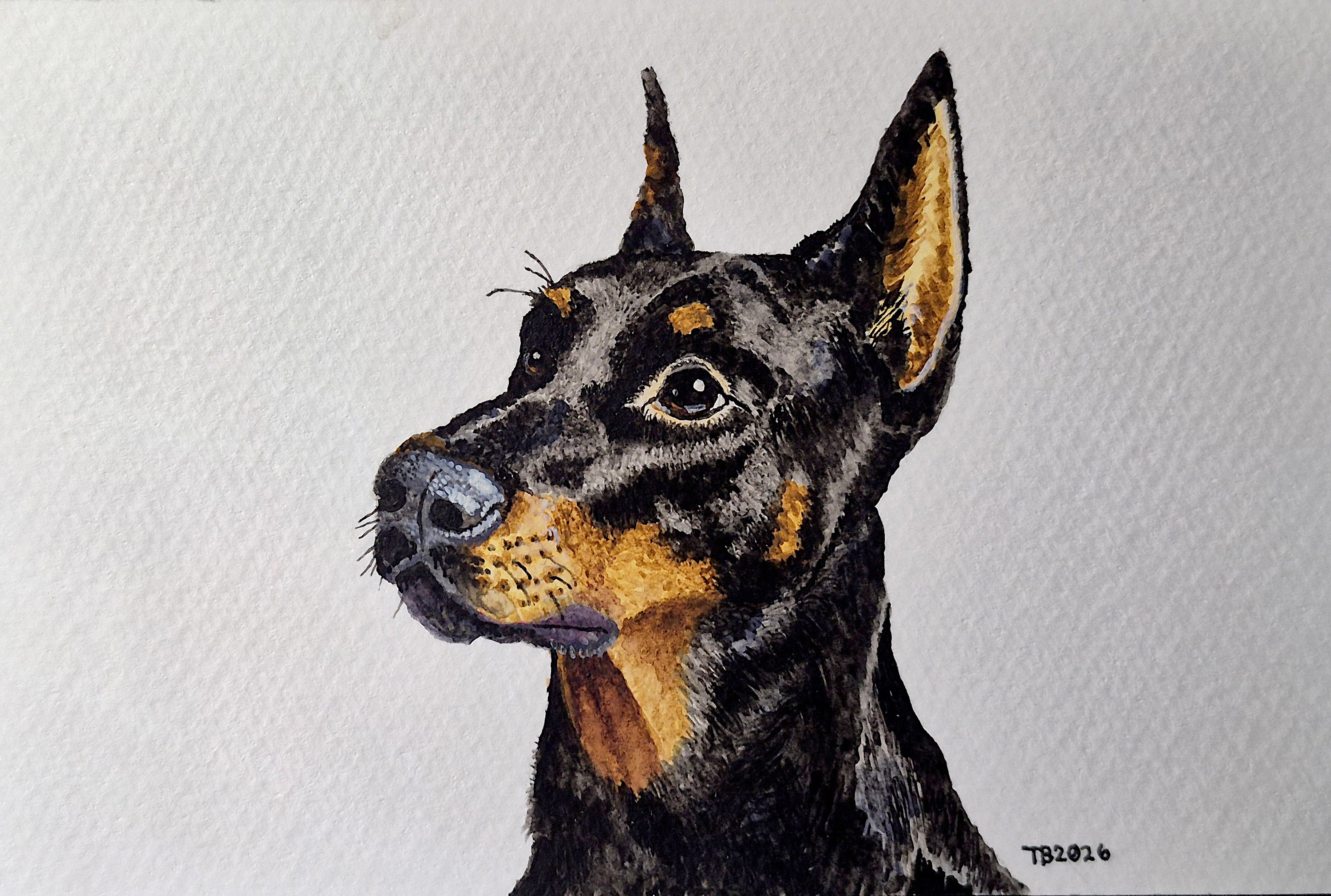 Doberman Painting Print