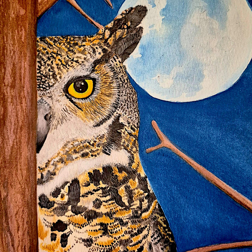 Hoo Are You Framed Original Signed Watercolor Painting