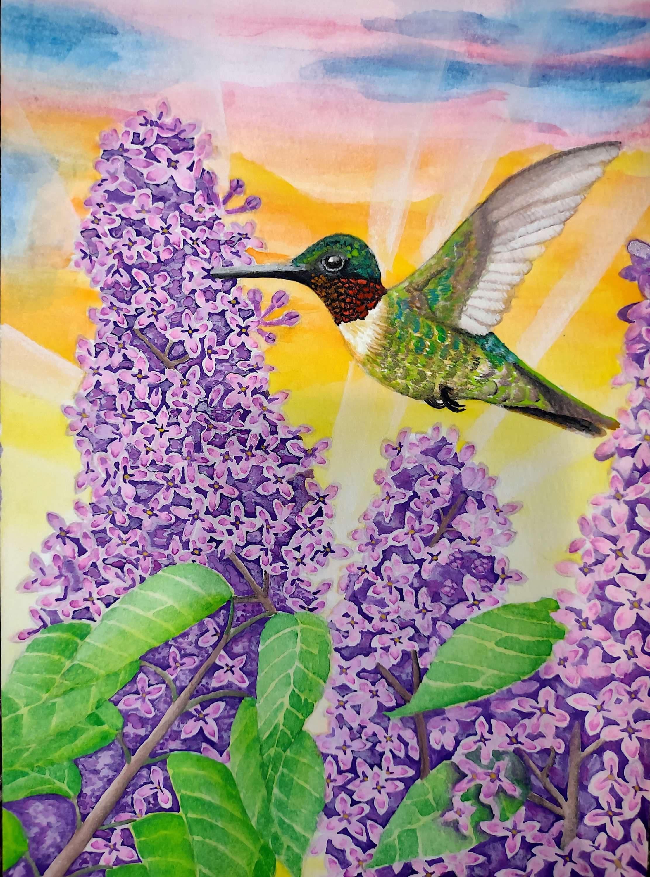 Hummingbird Amongst the Lilacs Painting Print