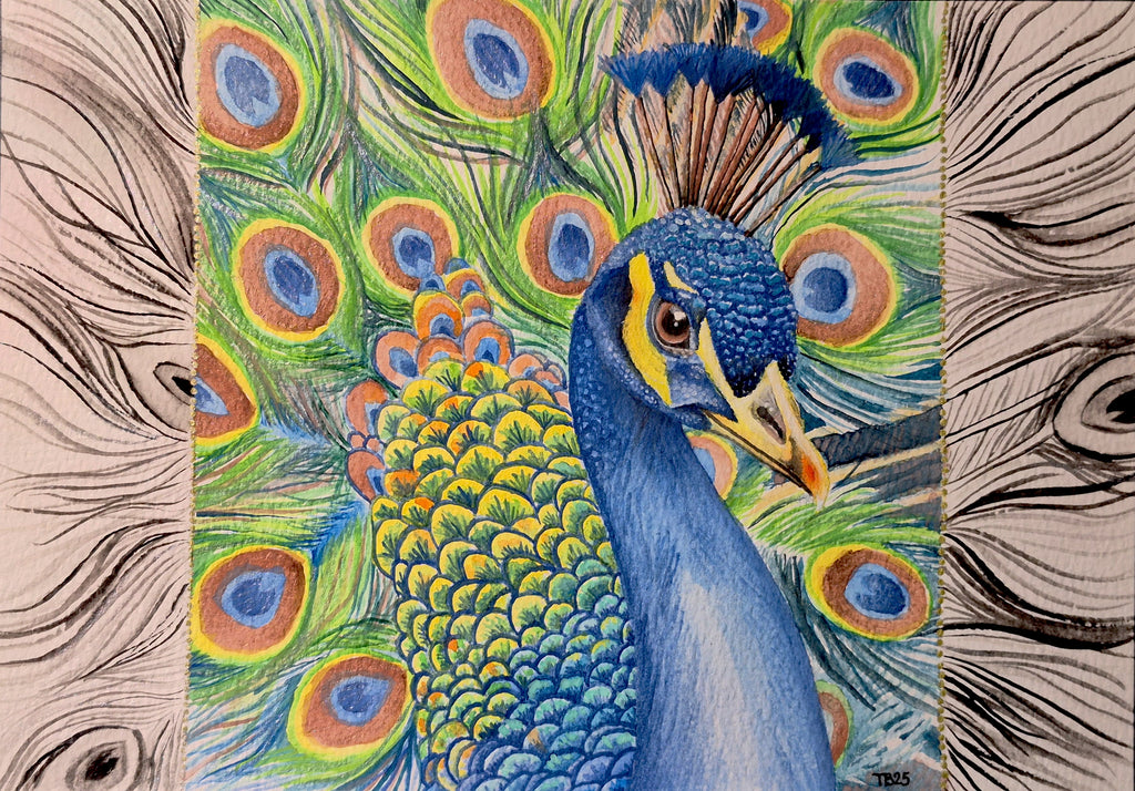 I Wanna See Your Peacock Original Framed Watercolor Painting