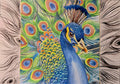 I Wanna See Your Peacock Painting Print