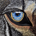 Wolf Eye Painting Prints